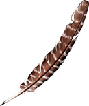 Graphic