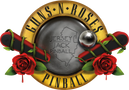 Guns N' Roses