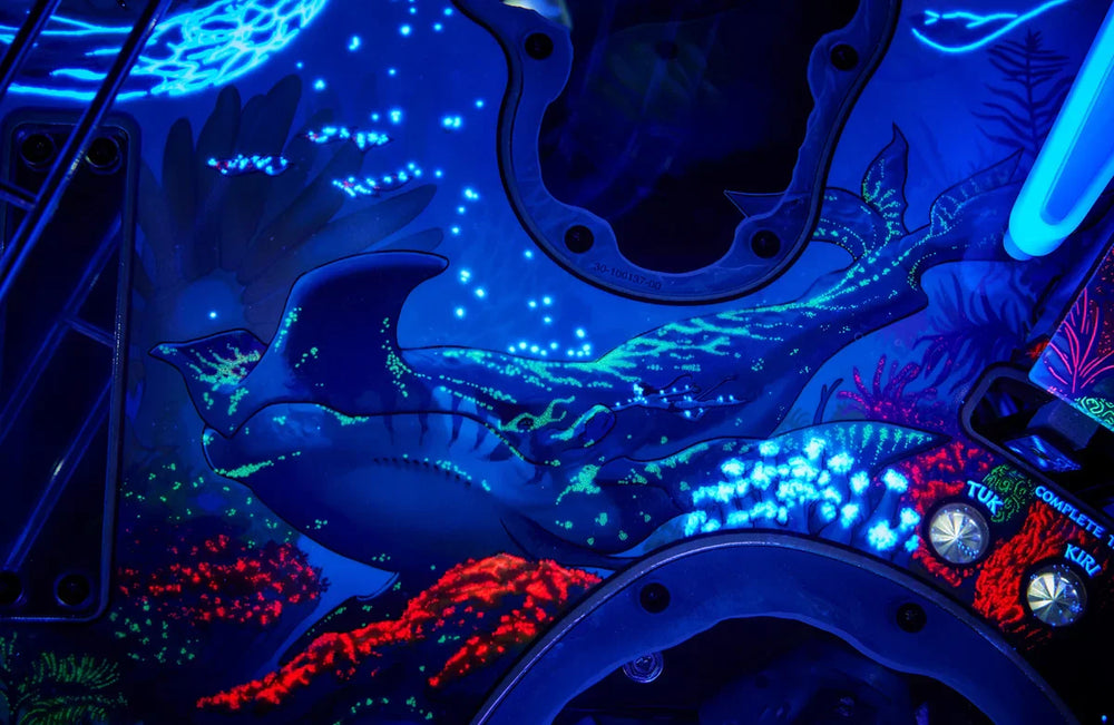 Avatar Collector's Edition