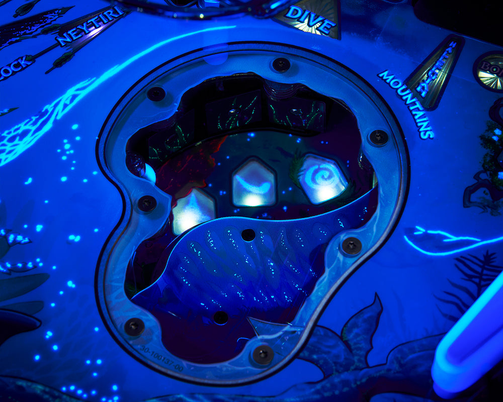 Avatar Collector's Edition