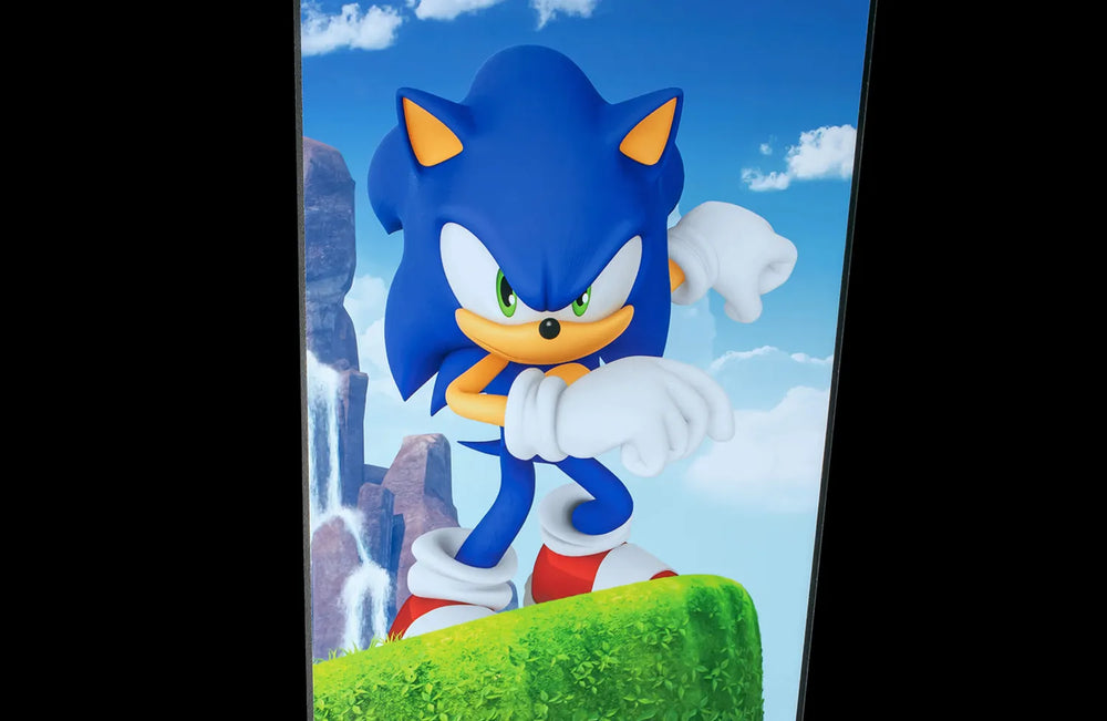 Sonic Collector's Edition