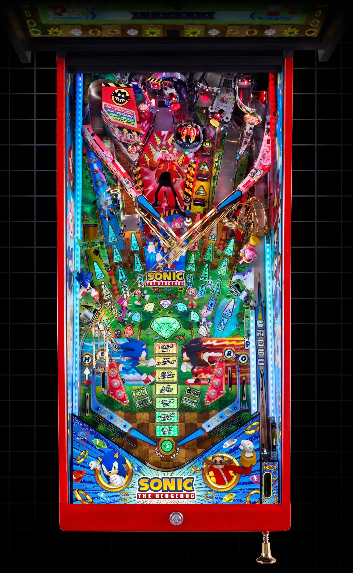 Sonic Collectors Edition Playfield