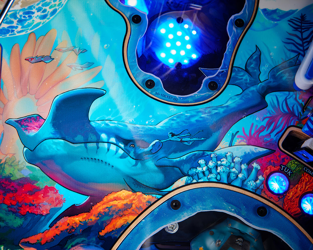 Avatar Collector's Edition