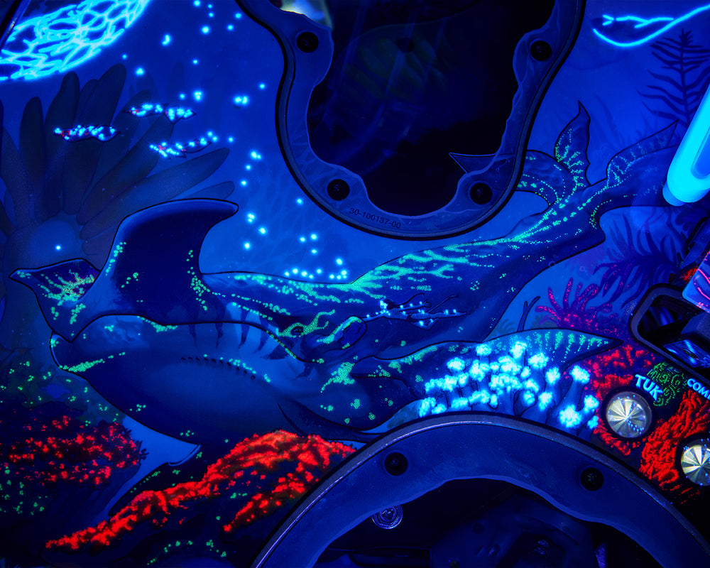 Avatar Collector's Edition