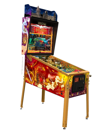 Harry Potter Pinball Machine
