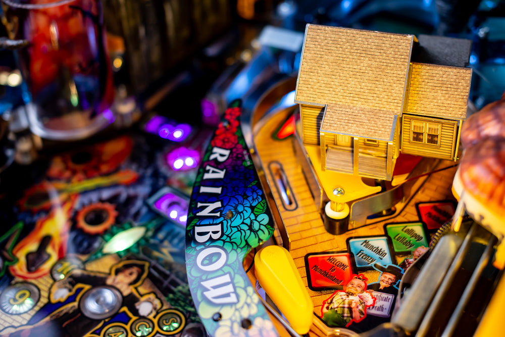 A journey to a  world of wonder